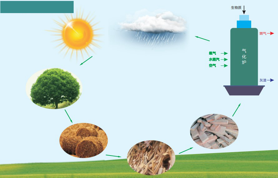 动物质发电行业前景如何